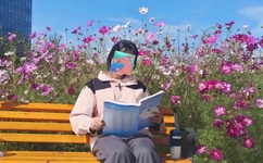 内射频视频教程大全免费